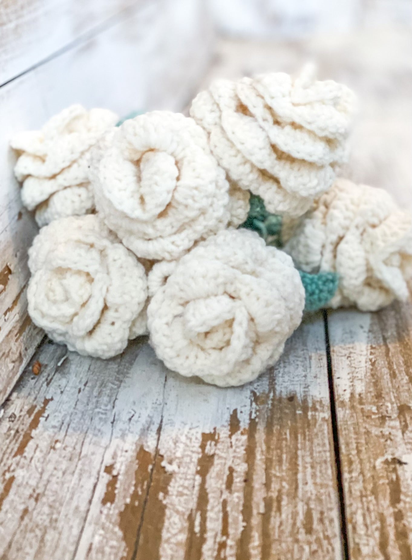 Crochet Forever Roses (6pk)