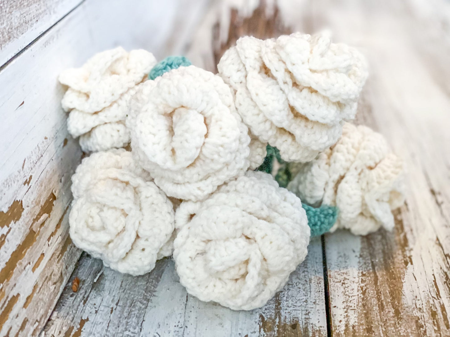 Crochet Forever Roses (6pk)