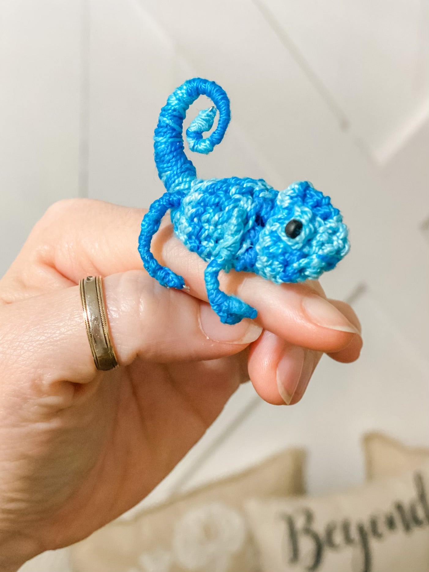 Crochet Caring Chameleons