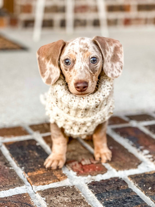 The "Oakley" Crochet Dog Sweater