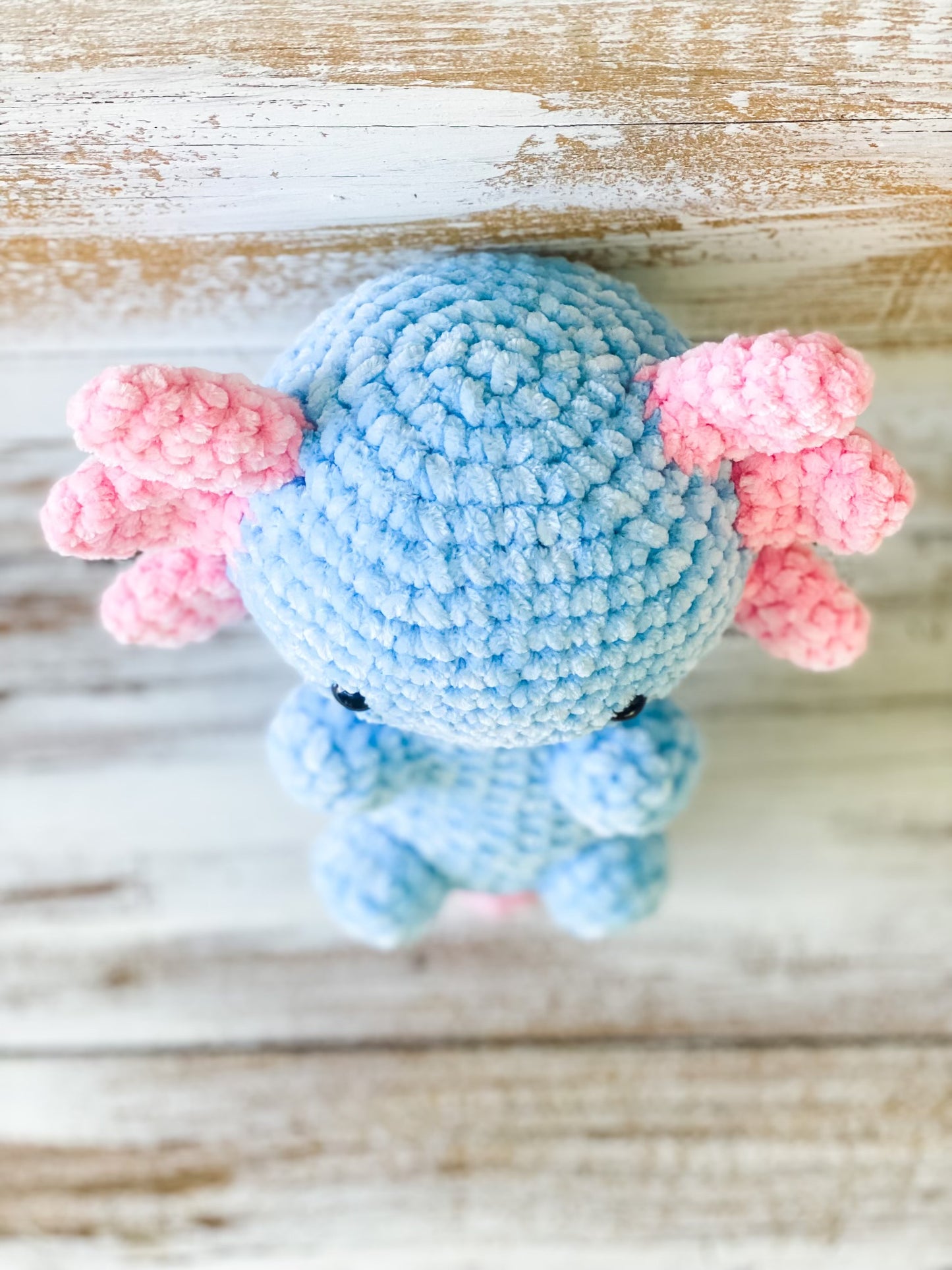 Crochet Plush Amigirumi Axolotyl